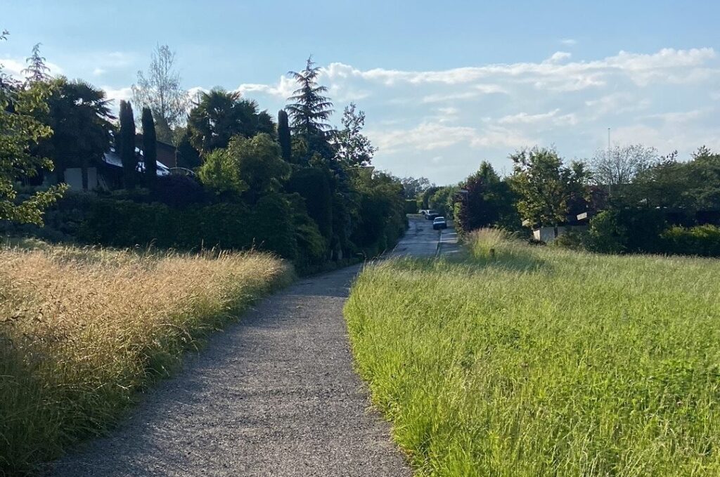 Lehrbeginn im APPISBERG 1 biketoworlk e1721306492999