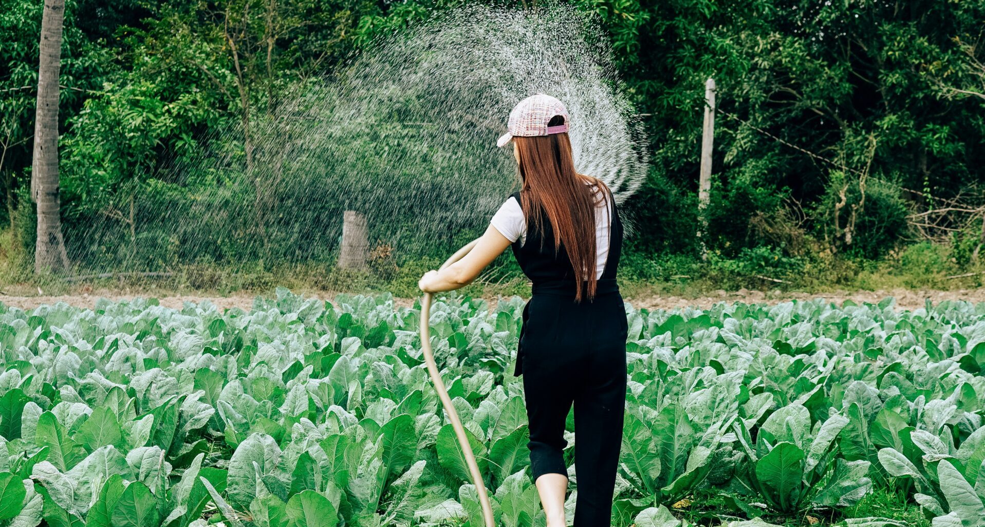 tony pham TV7m tpmqhw unsplash e1760967891488
