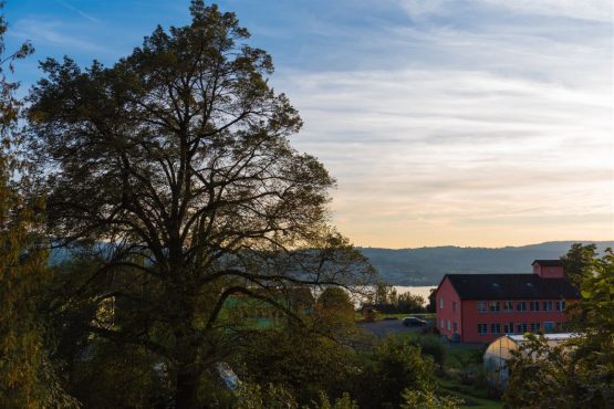 Freizeitangebote 5 Appisberg-Räumlickeiten-Umgebung-47_klein